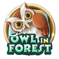 Owl In Forest